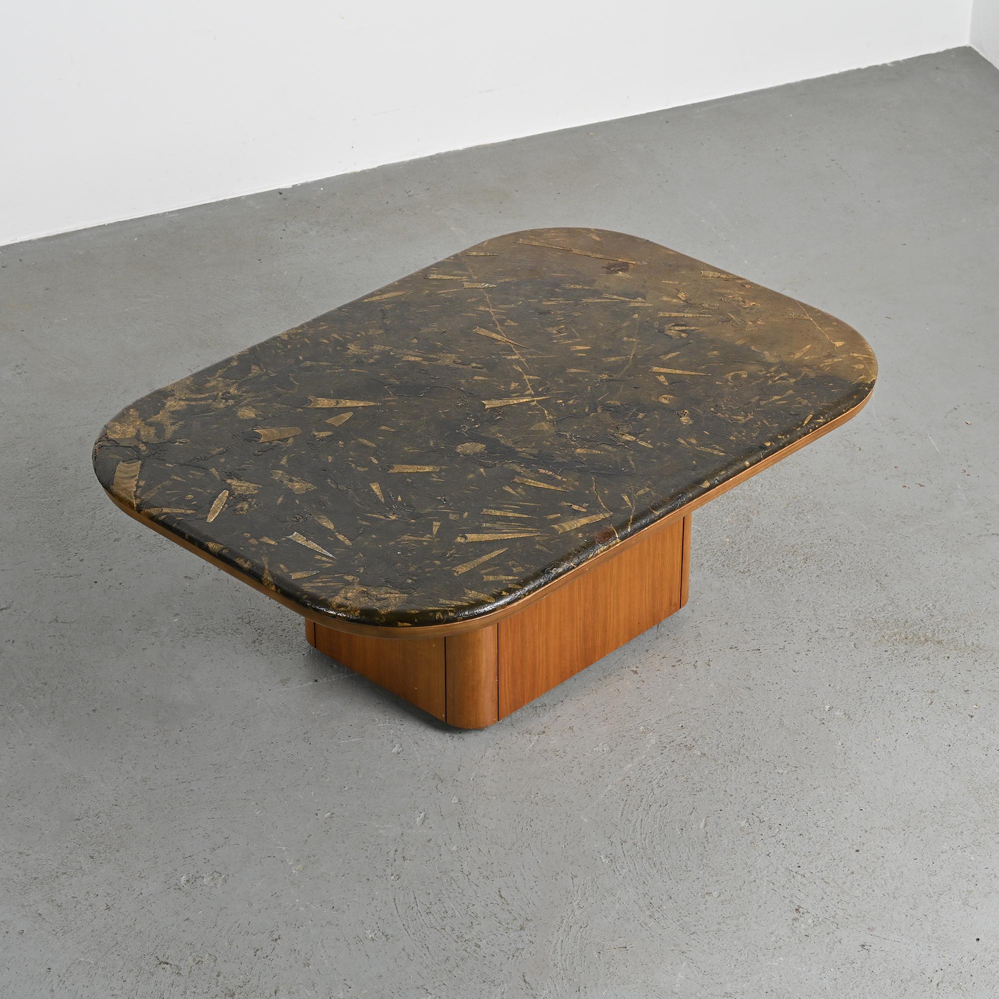 Fossil stone coffee table, Fossile collection, Switzerland, circa 1980.