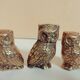 3 very cute mini owls