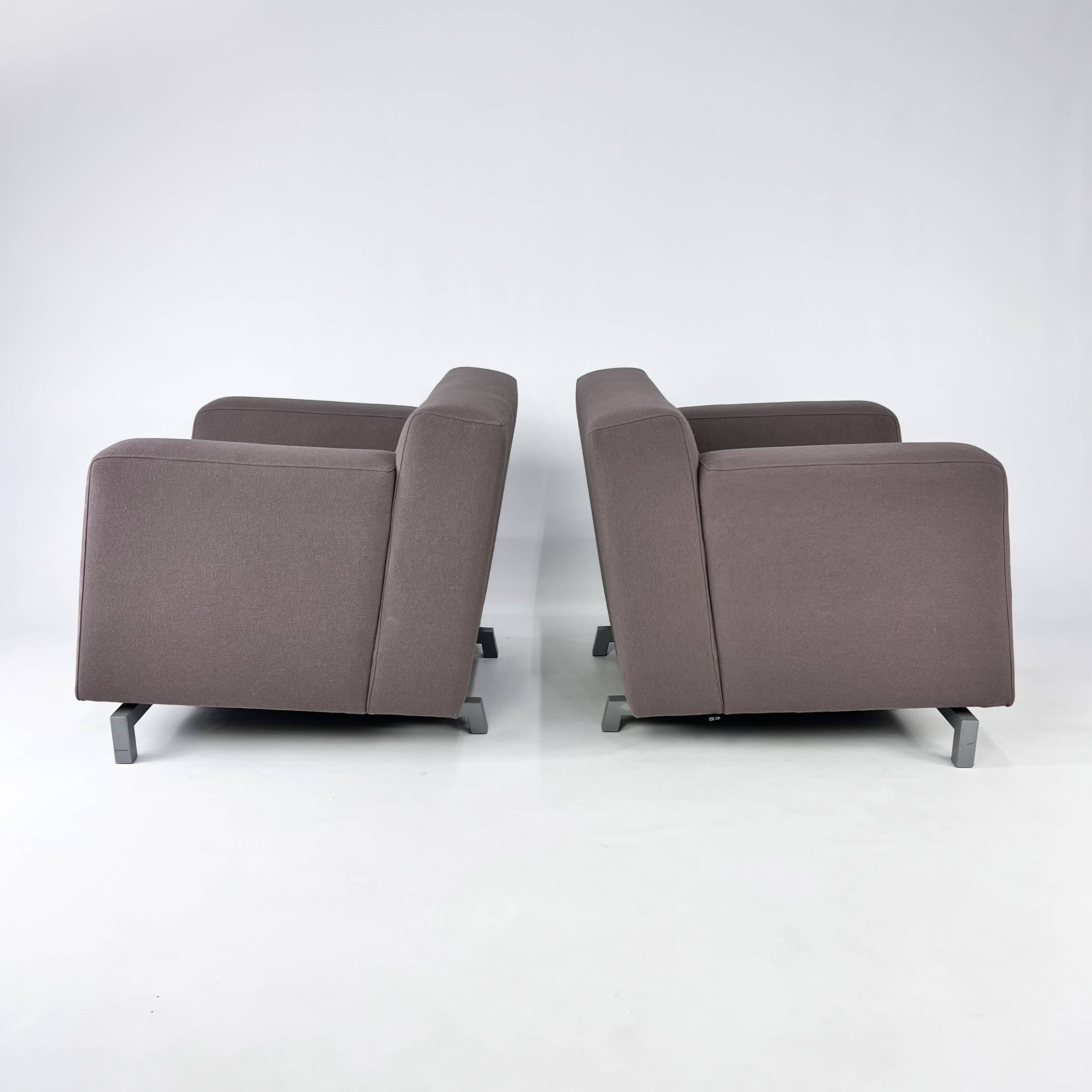 Set of 2 Pastoe Roots Lounge Chairs by Hannes Wettstein, 1998