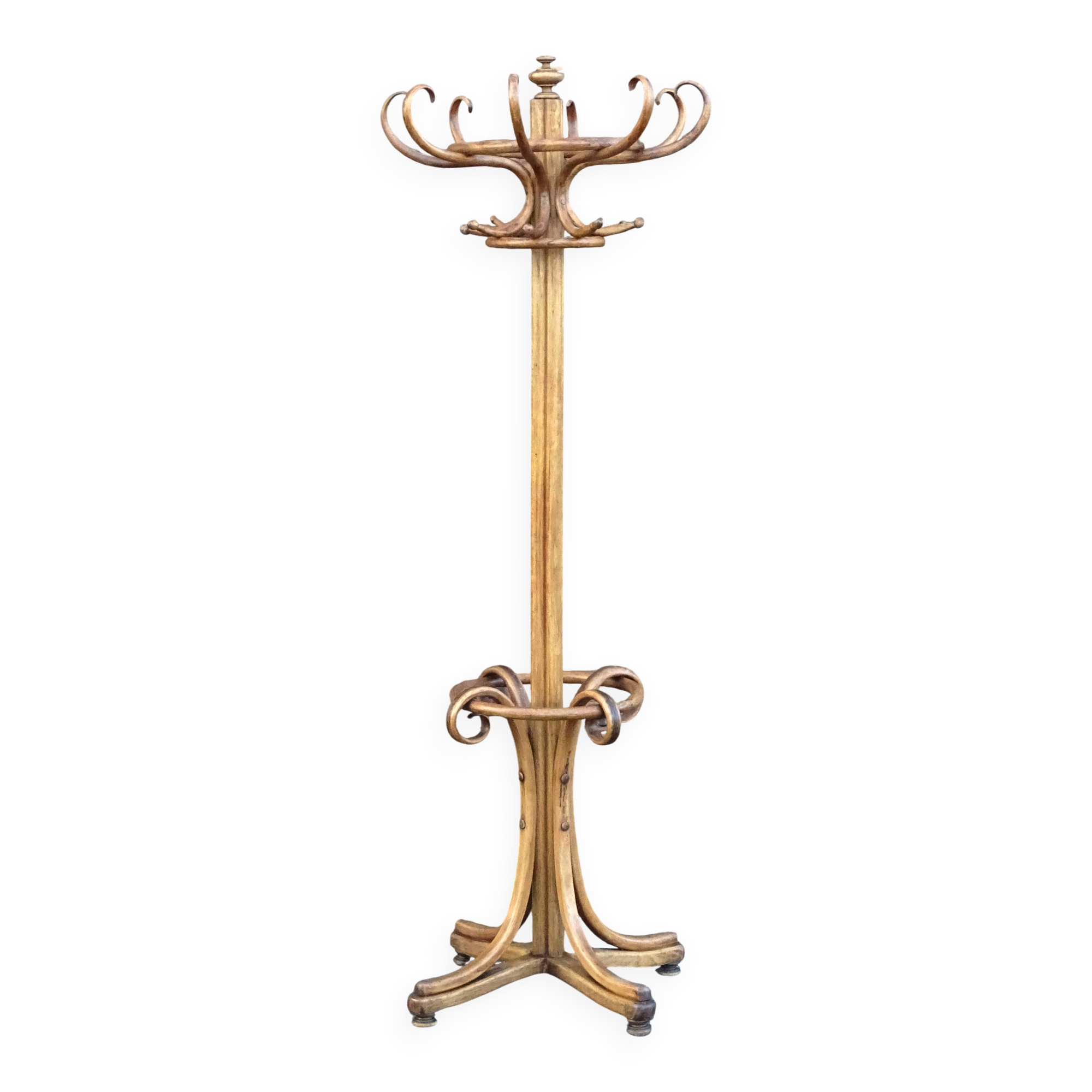 Parrot coat rack with 8 hooks, bistro style, not Thonet, around 1910.
