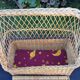 Vintage trunk bench braided rattan