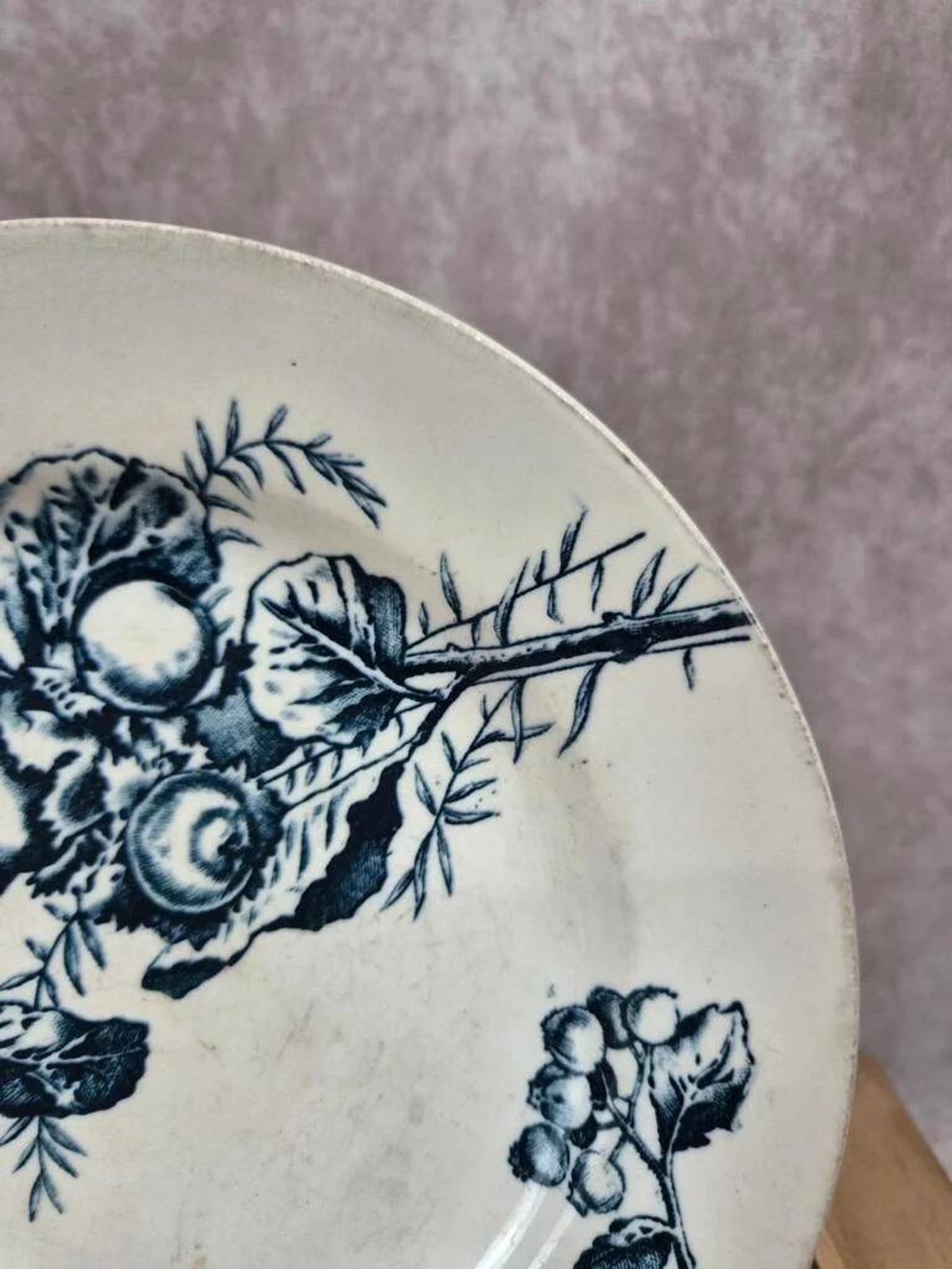 Plate Terre de Fer HB & Cie Choisy-le-Roi – Bird & fruits – 19th century