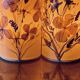 Paire de lampes vintage fleurs séchées
