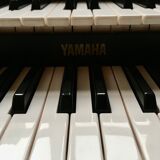 Yamaha Electone Organ