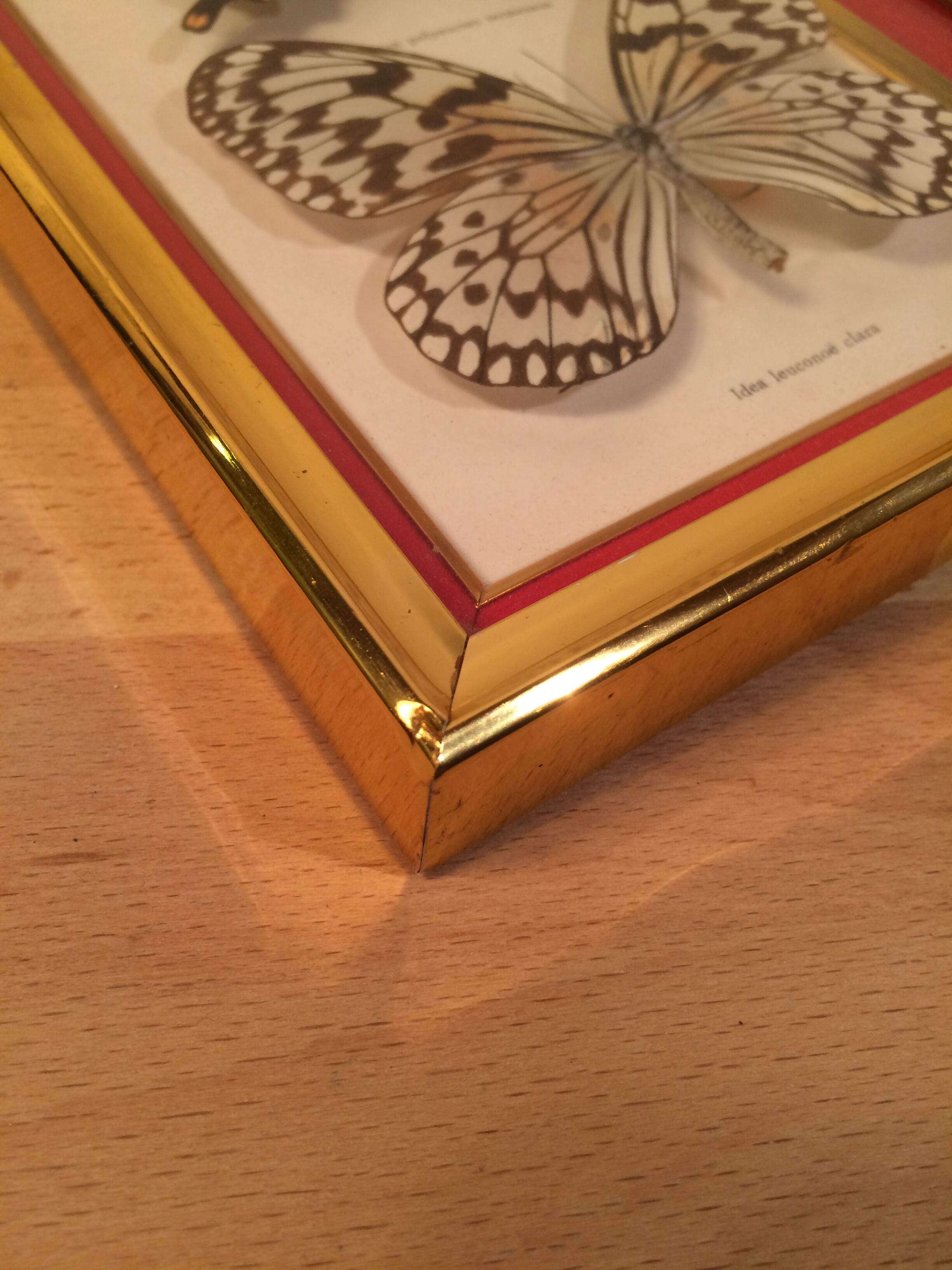 Pair of naturalized butterfly frames
