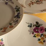 Mismatched plates