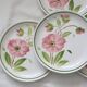 Set of 4 Moulin des Loups dinner plates, 1980, vintage French