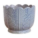 Old pot-pot in dabbling