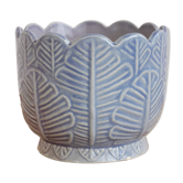 Old pot-pot in dabbling