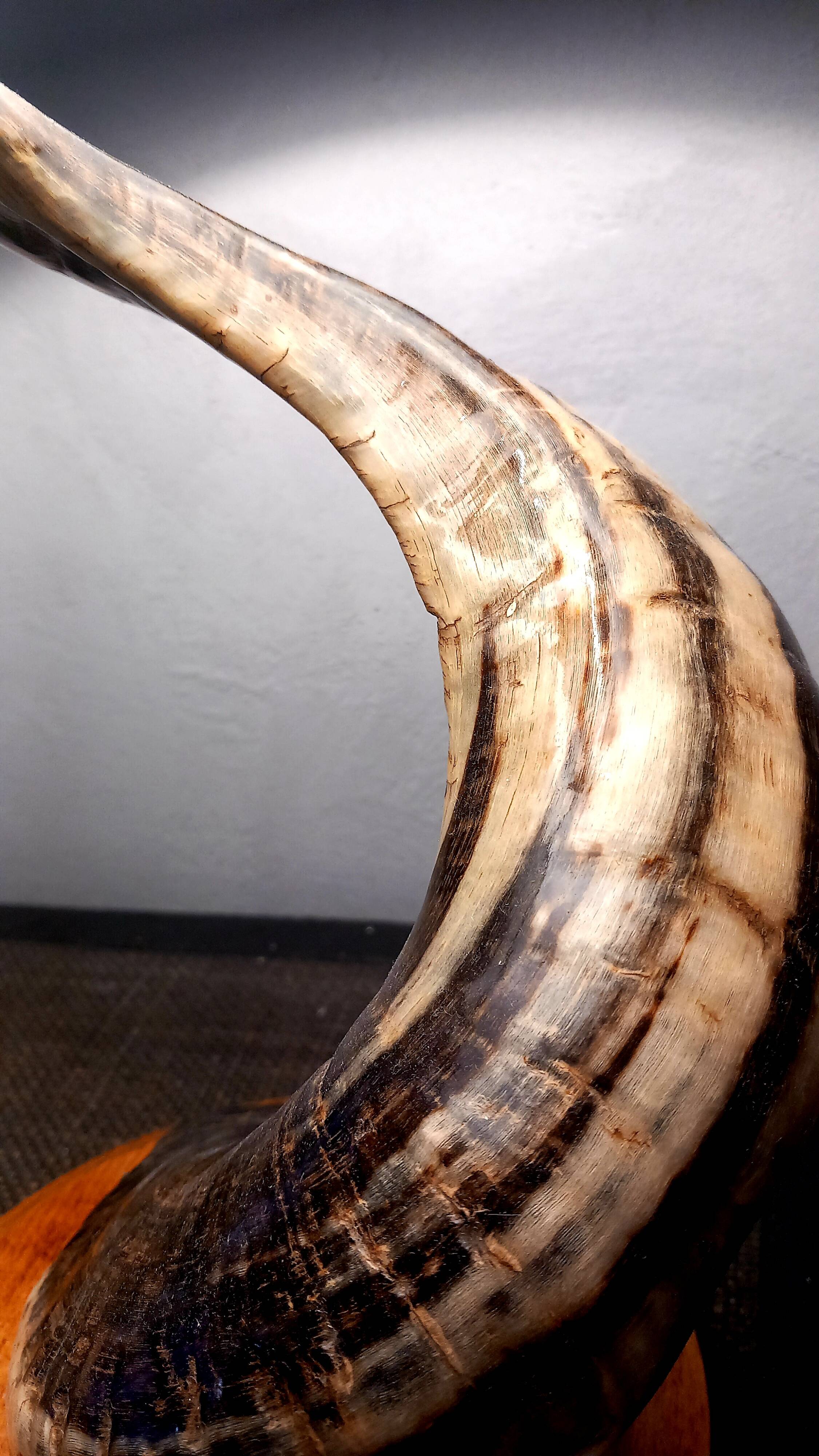 Brutalist Ram's Horn Living Room Lamp 1970