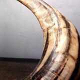 Brutalist Ram's Horn Living Room Lamp 1970