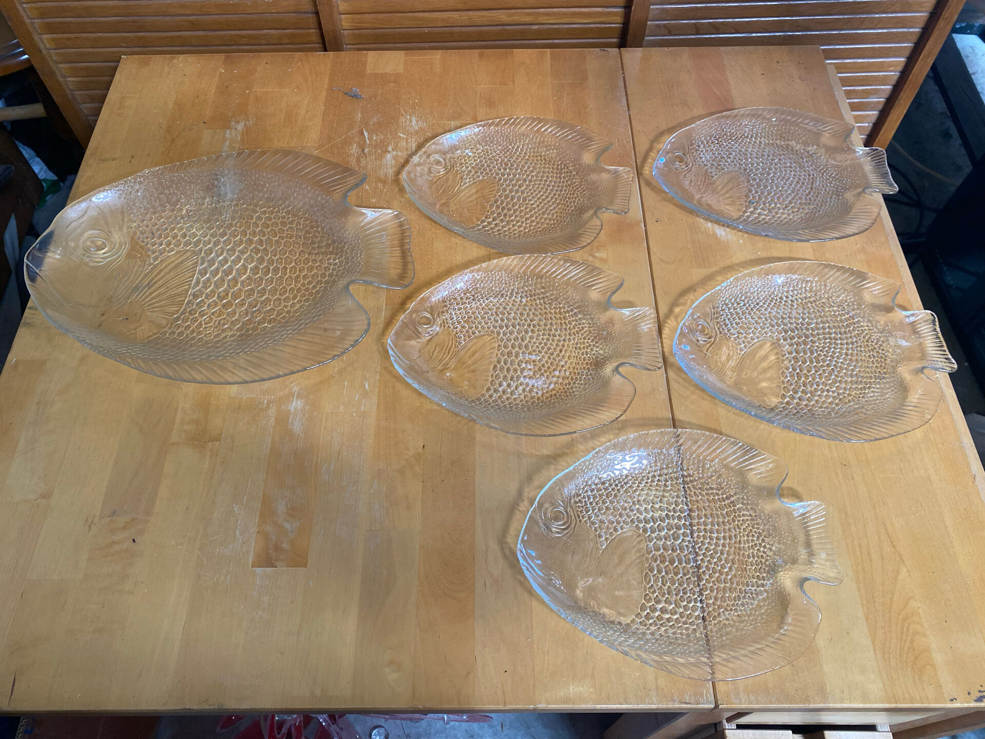 Plate + 5 ARCOROC Fish Shape Glass Mould Plates + Vintage Box #