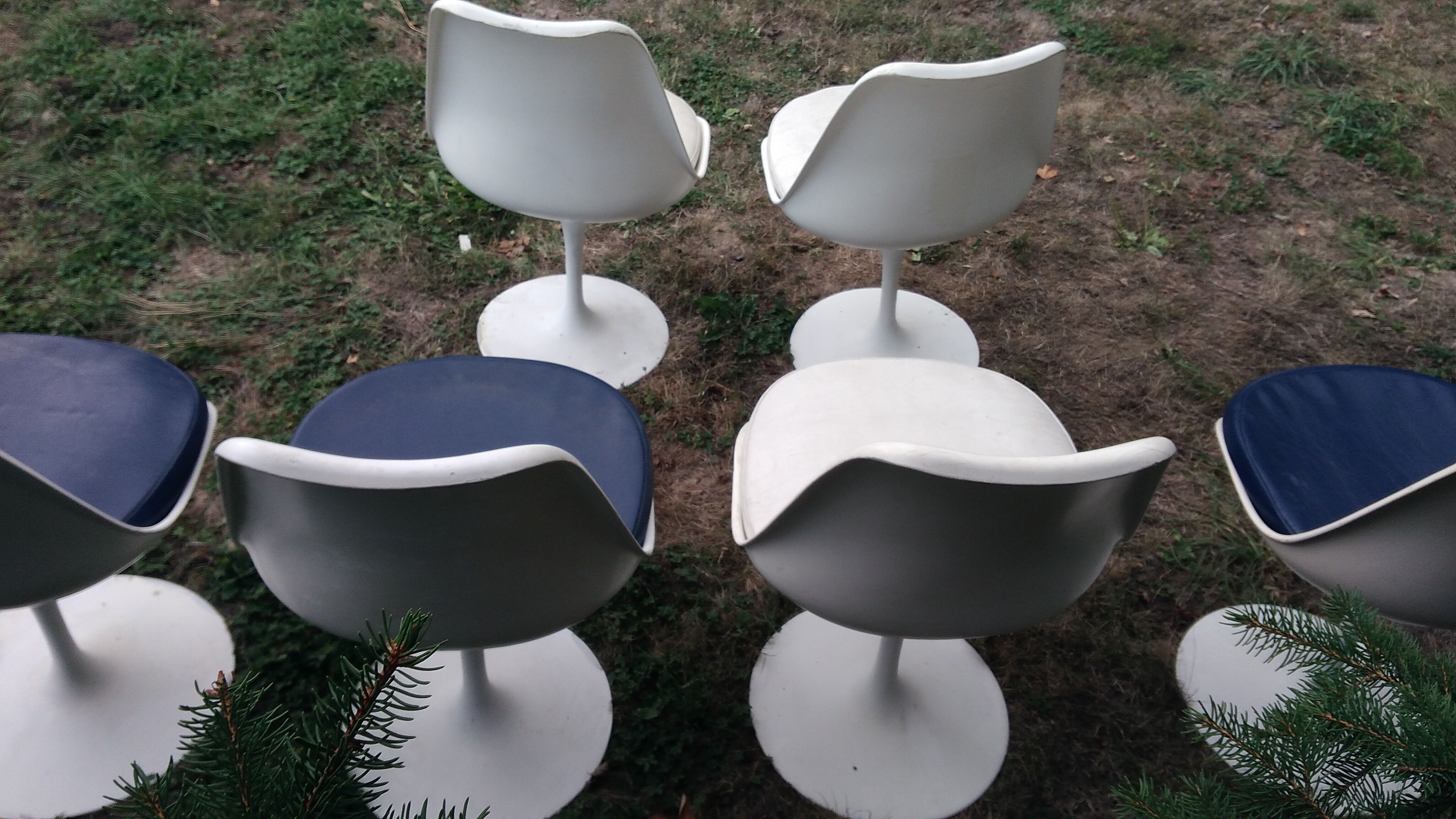 Set of six chairs by Eero Saarinen for Knoll