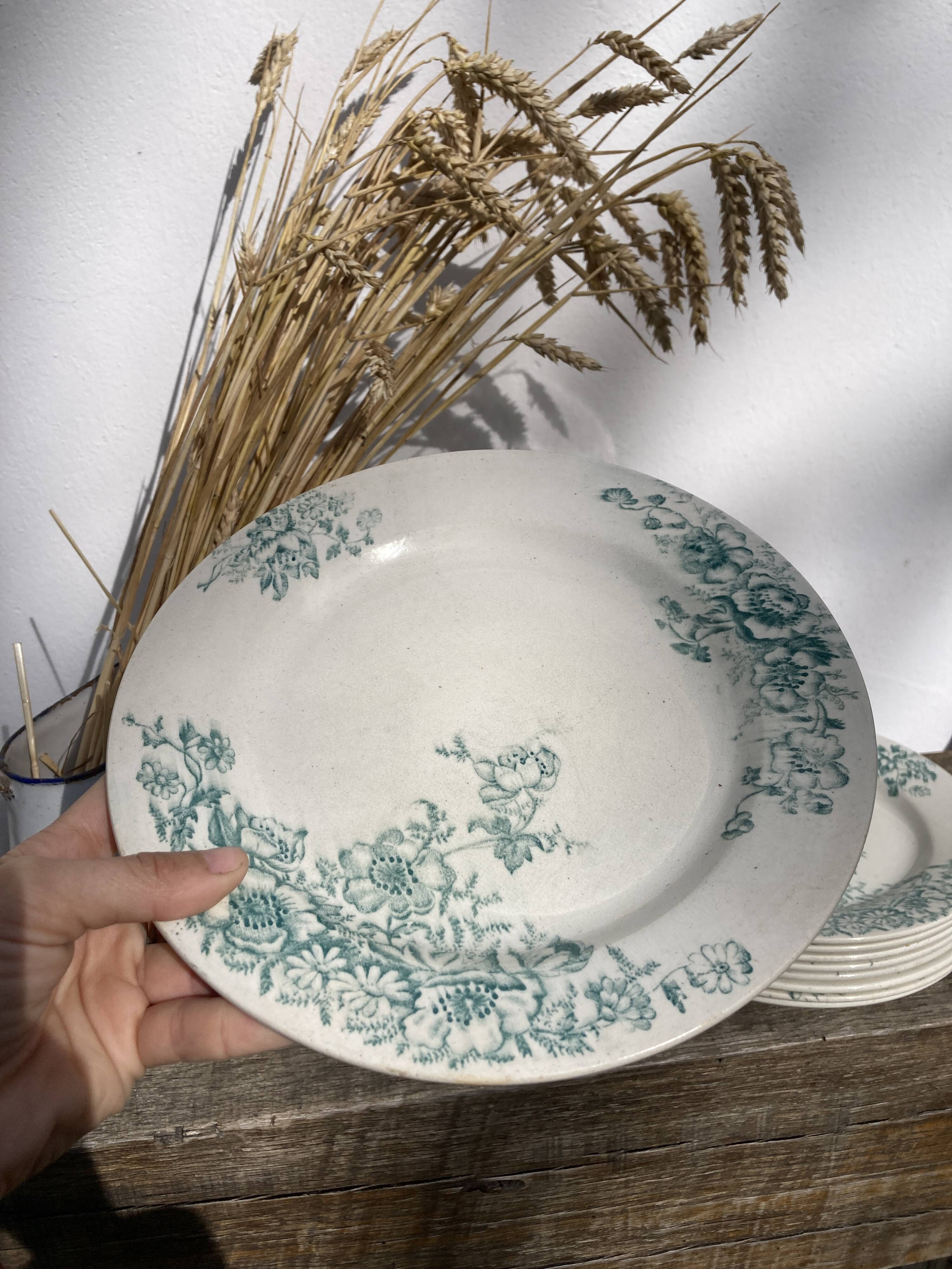 8 Terre de fer plates Anémones Bertrand Bordeaux old in green ceramic decorated with flowers