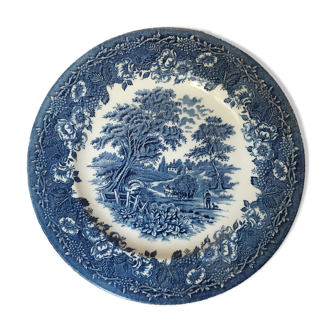 Blue & white dish