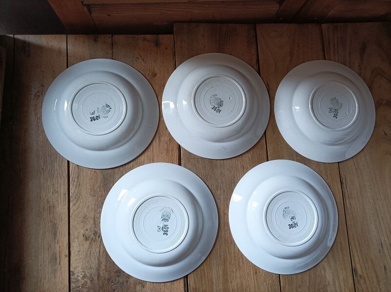 Set of 5 hollow plates St Amand in ceramic