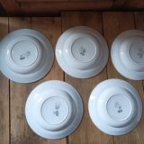 Set of 5 hollow plates St Amand in ceramic