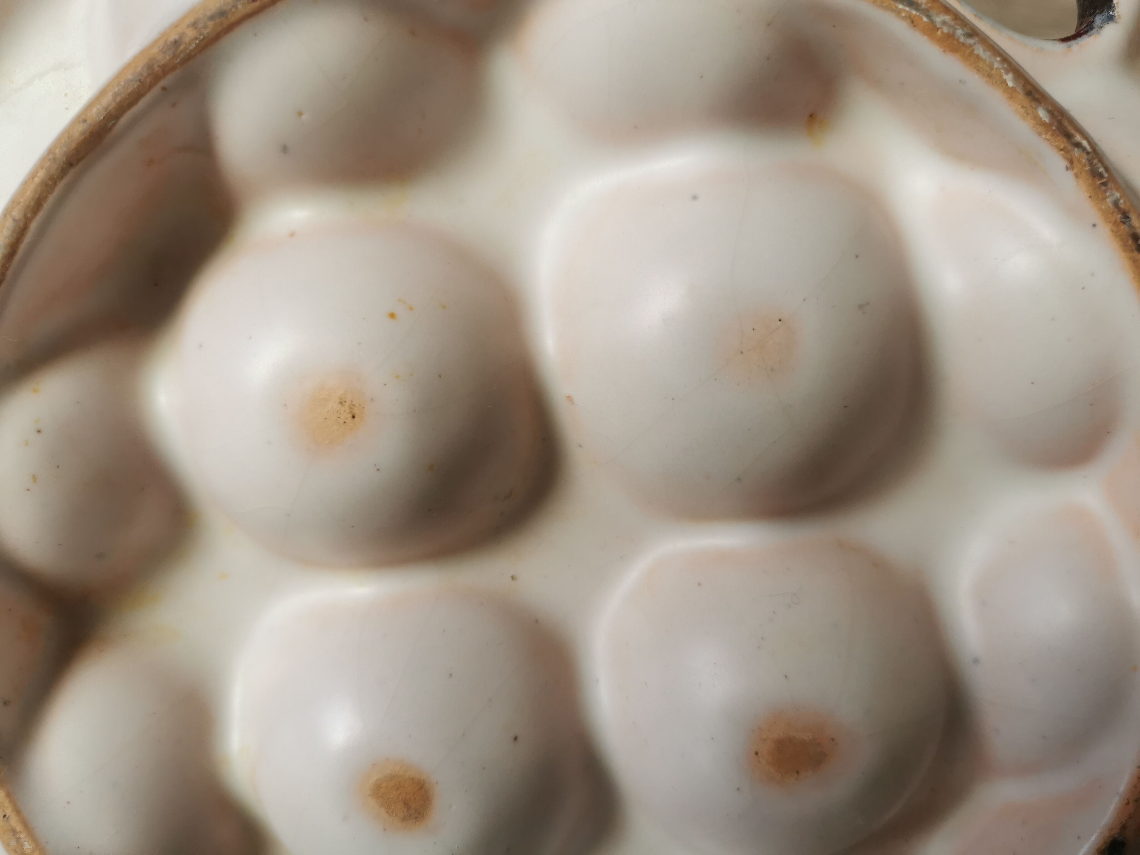 6 glazed ceramic snail plates