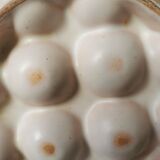 6 glazed ceramic snail plates