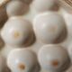 6 glazed ceramic snail plates
