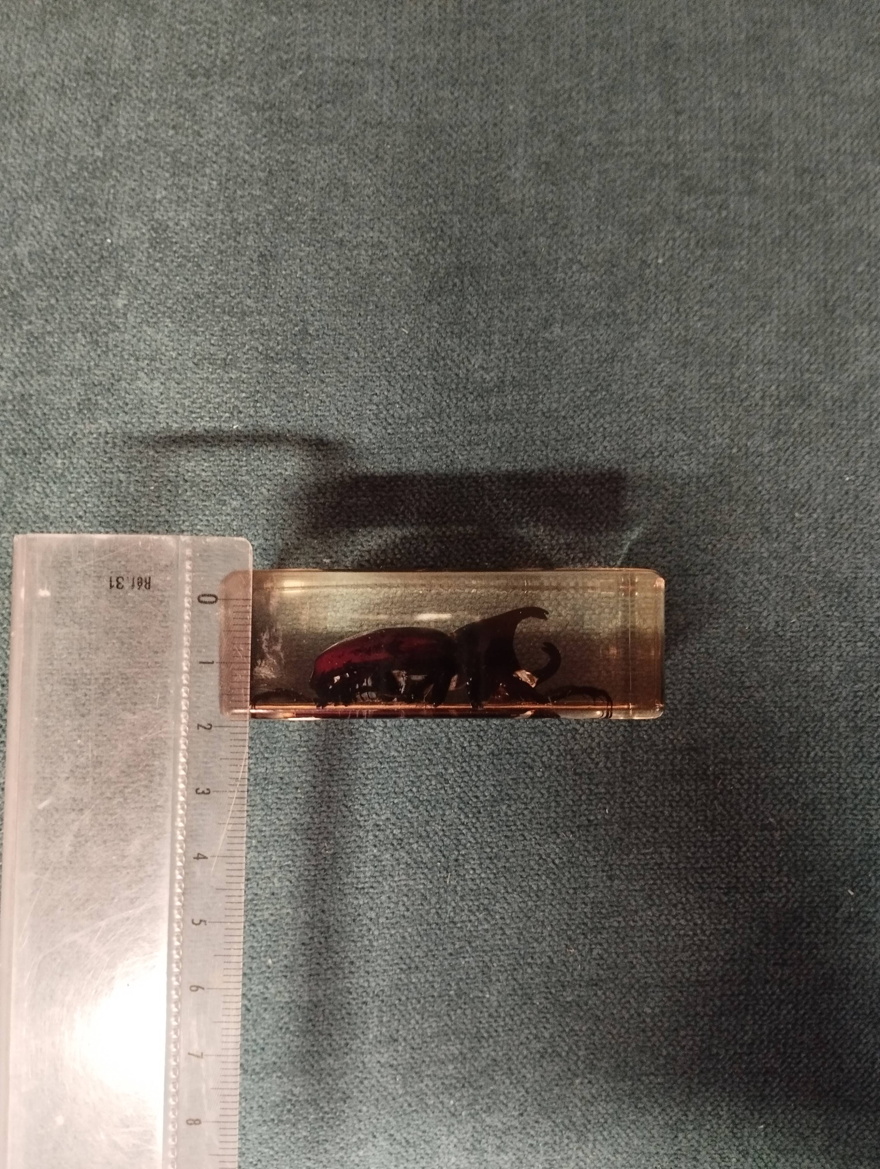 Beetle resin block