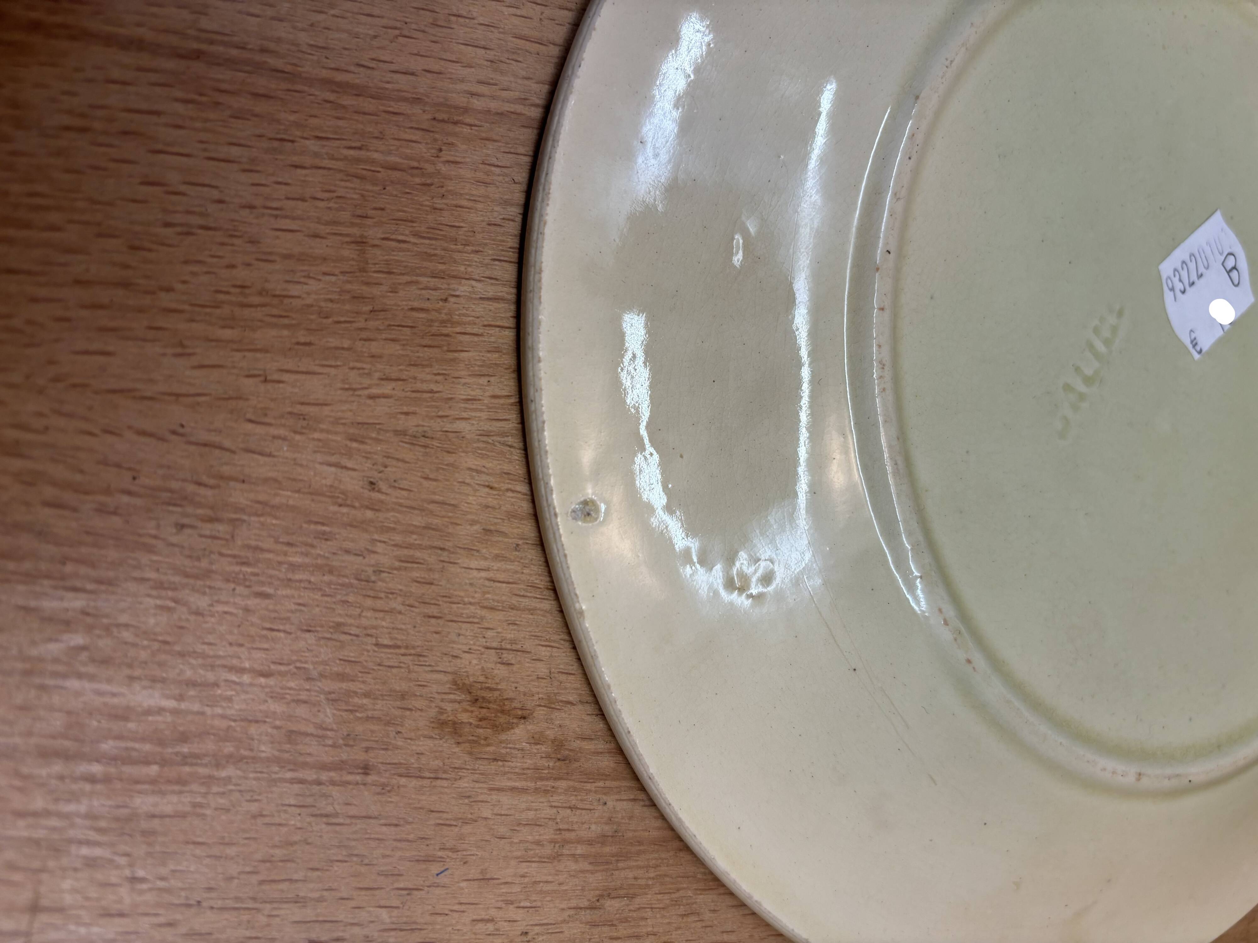 Salins slip plate (B)