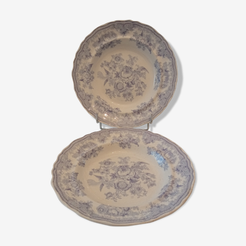 Two plates in English earthenware
