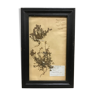 "Polygalées" herbarium frame