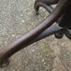 Parrot coat holder in curved wood - Art Nouveau