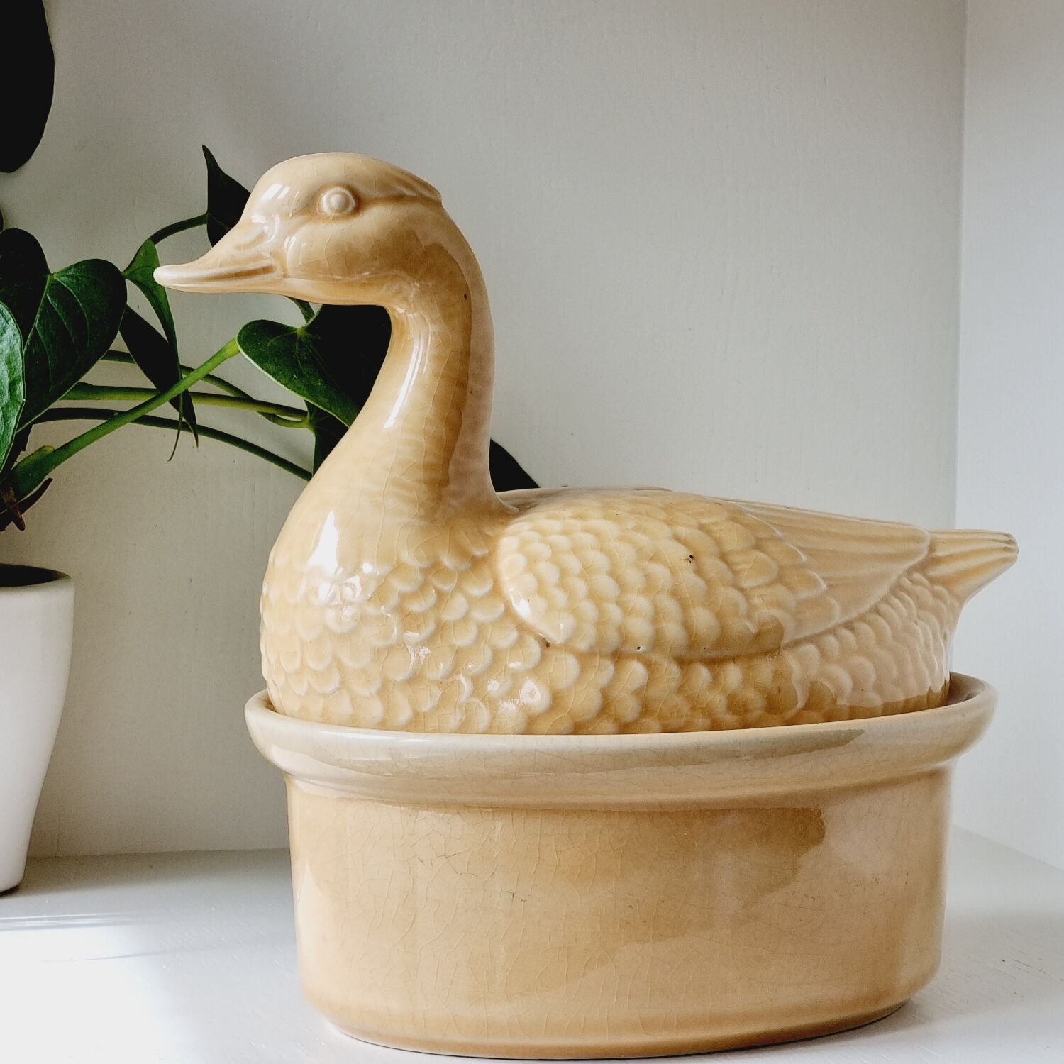 Ceramic duck terrine