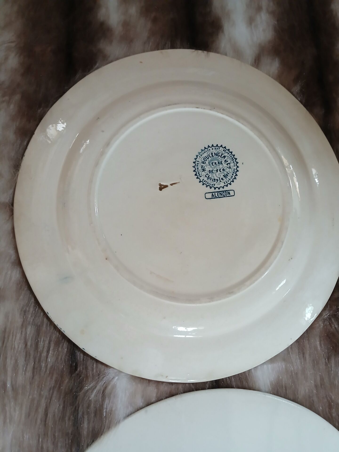 8 mismatched ironstone dinner plates