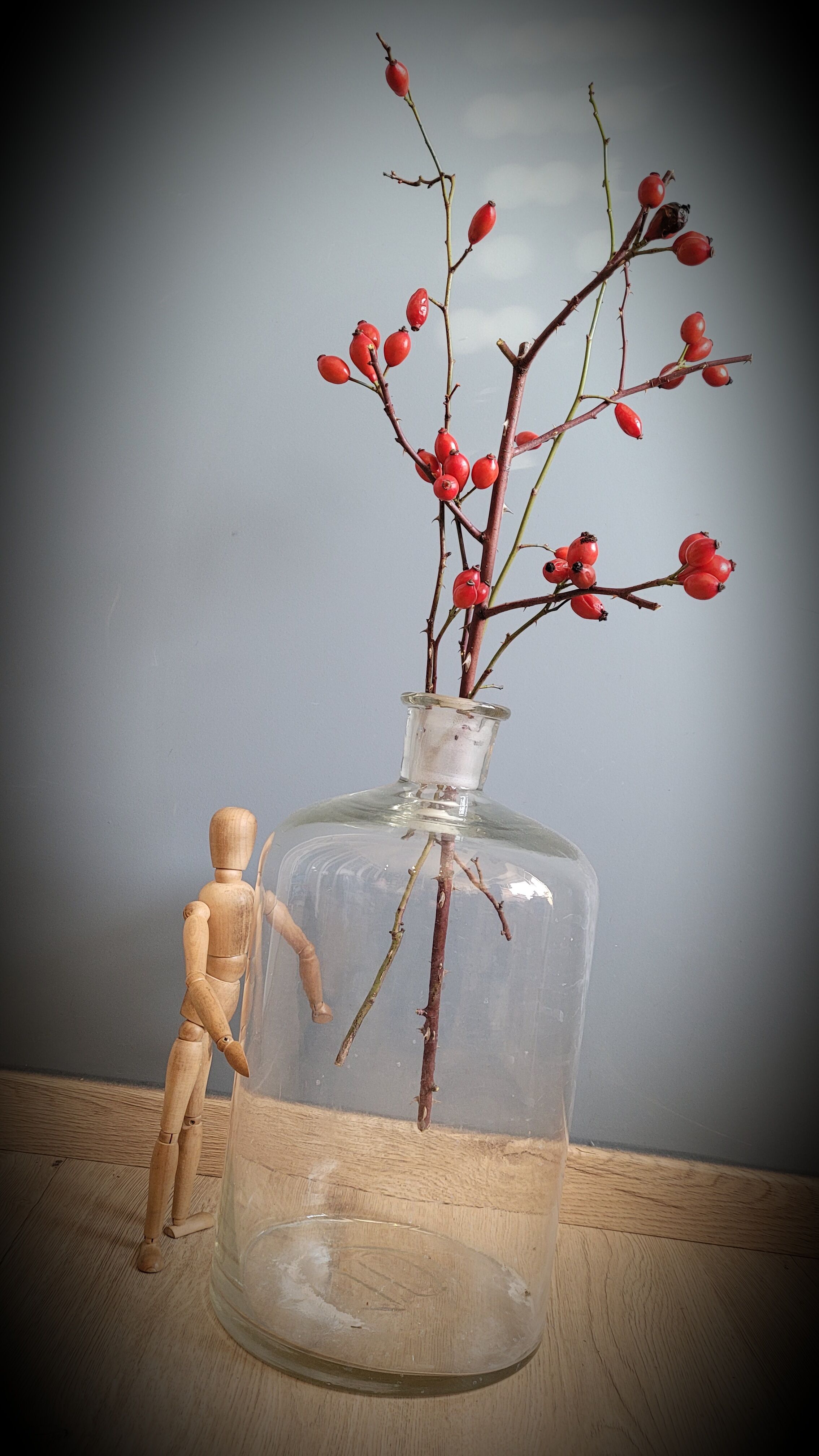 Transparent 10L apothecary bottle