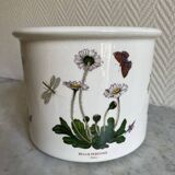 Cache pot Portmeirion Susan Williams Ellis The Botanic Garden