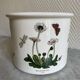 Cache pot Portmeirion Susan Williams Ellis The Botanic Garden