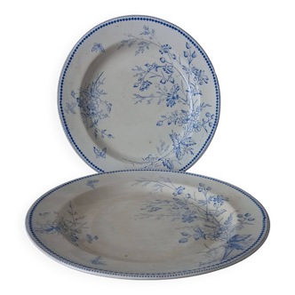 Old english dishes, 2 large round dishes in terre de fer waa & co “floribel” (1875-85)