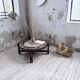Round coffee table Roger Capron herbarium terracotta