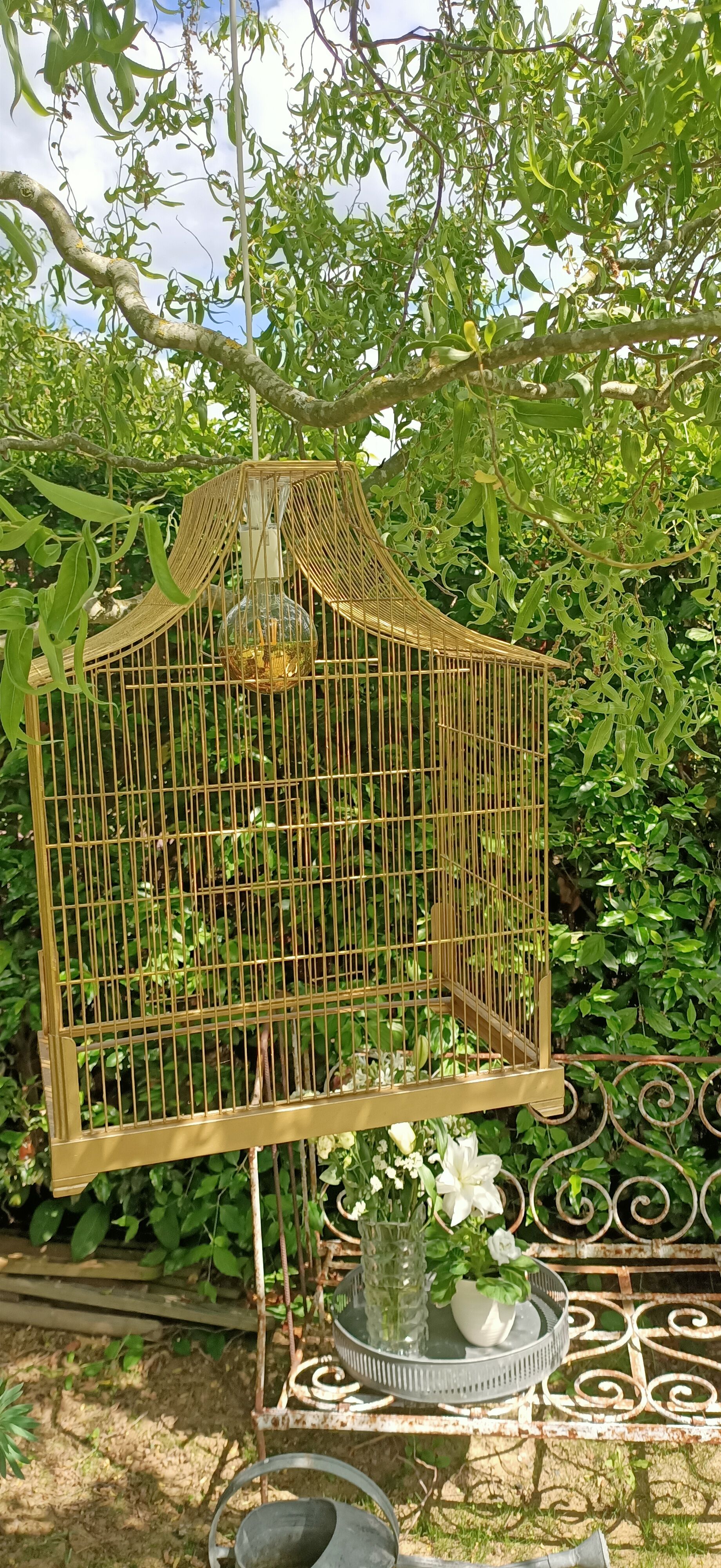 Old bird cage