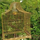 Old bird cage