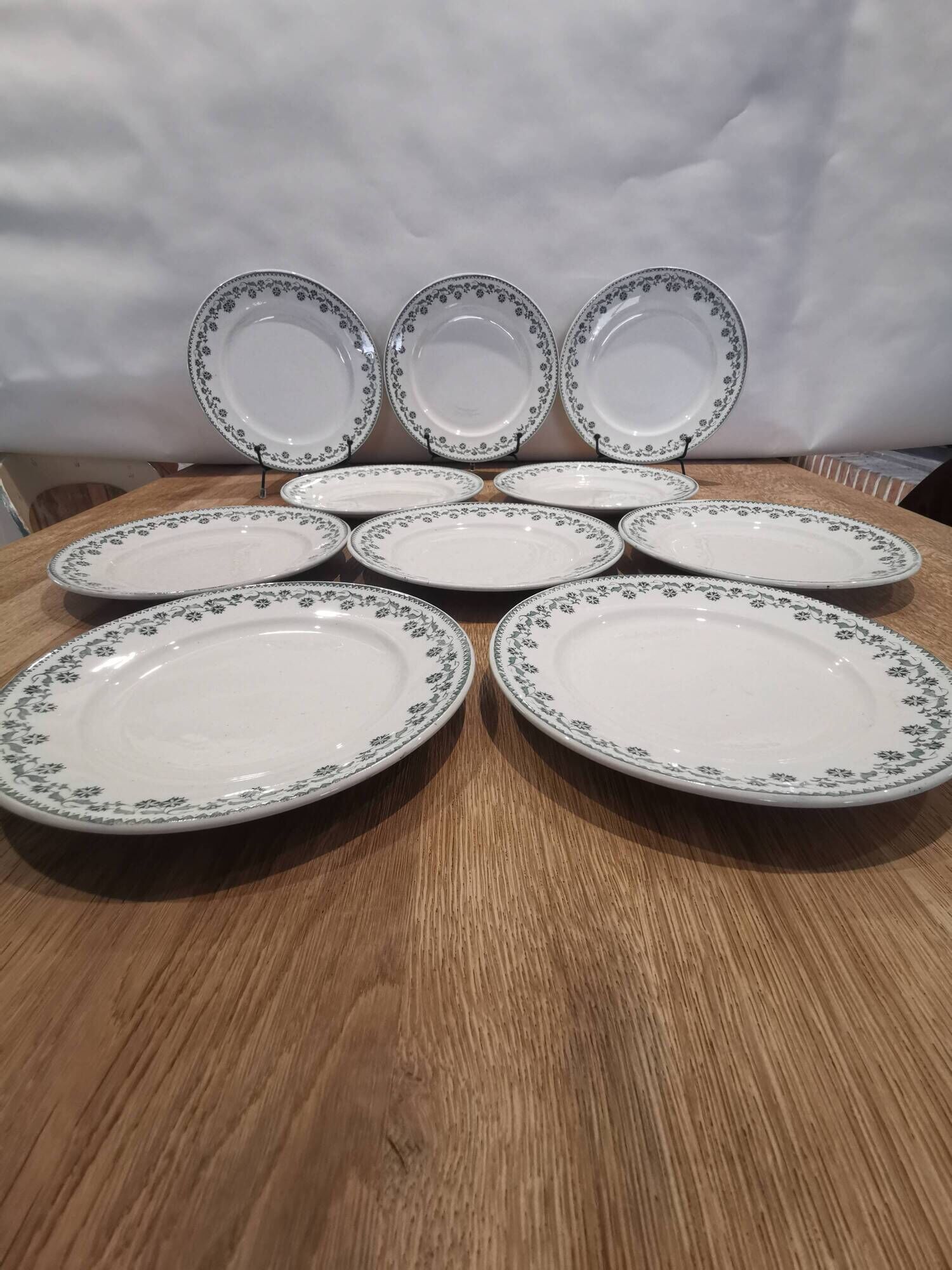Set of 10 semi-hollow plates iron earth Moulin des loups "Georgette"