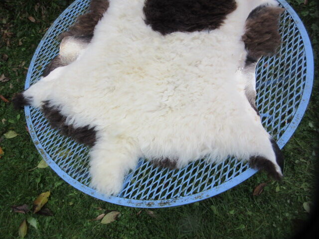 Sheepskin