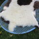 Sheepskin
