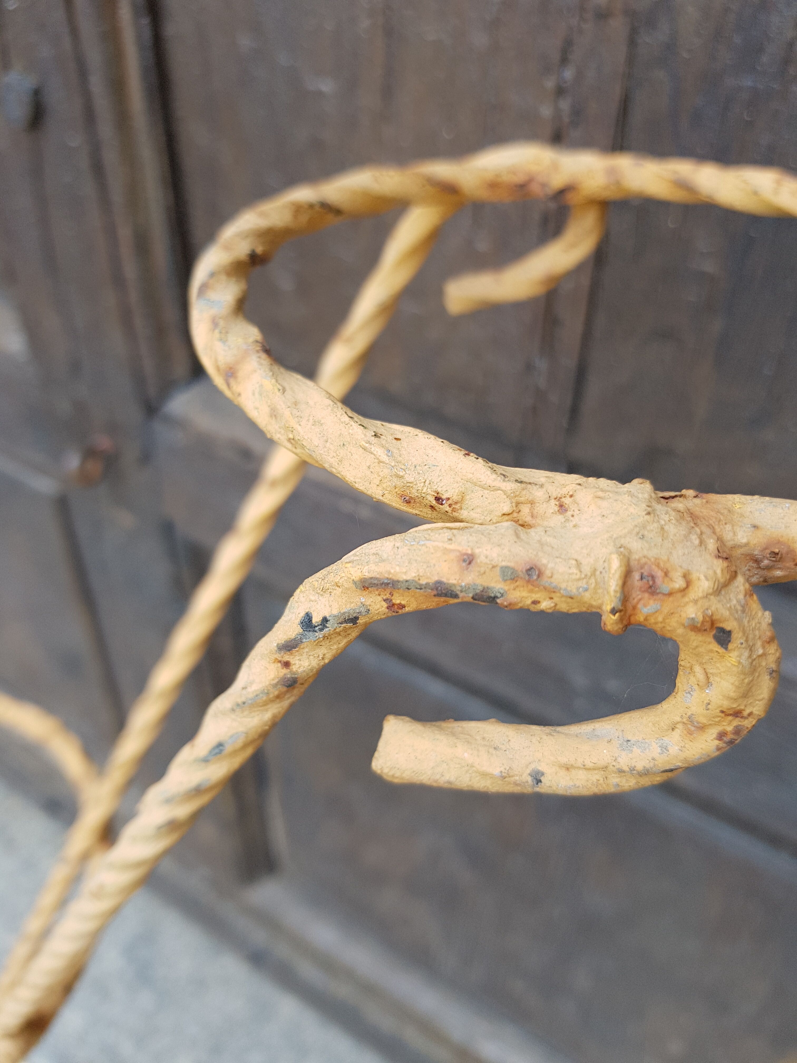 Wrought iron plant door