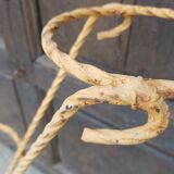 Wrought iron plant door