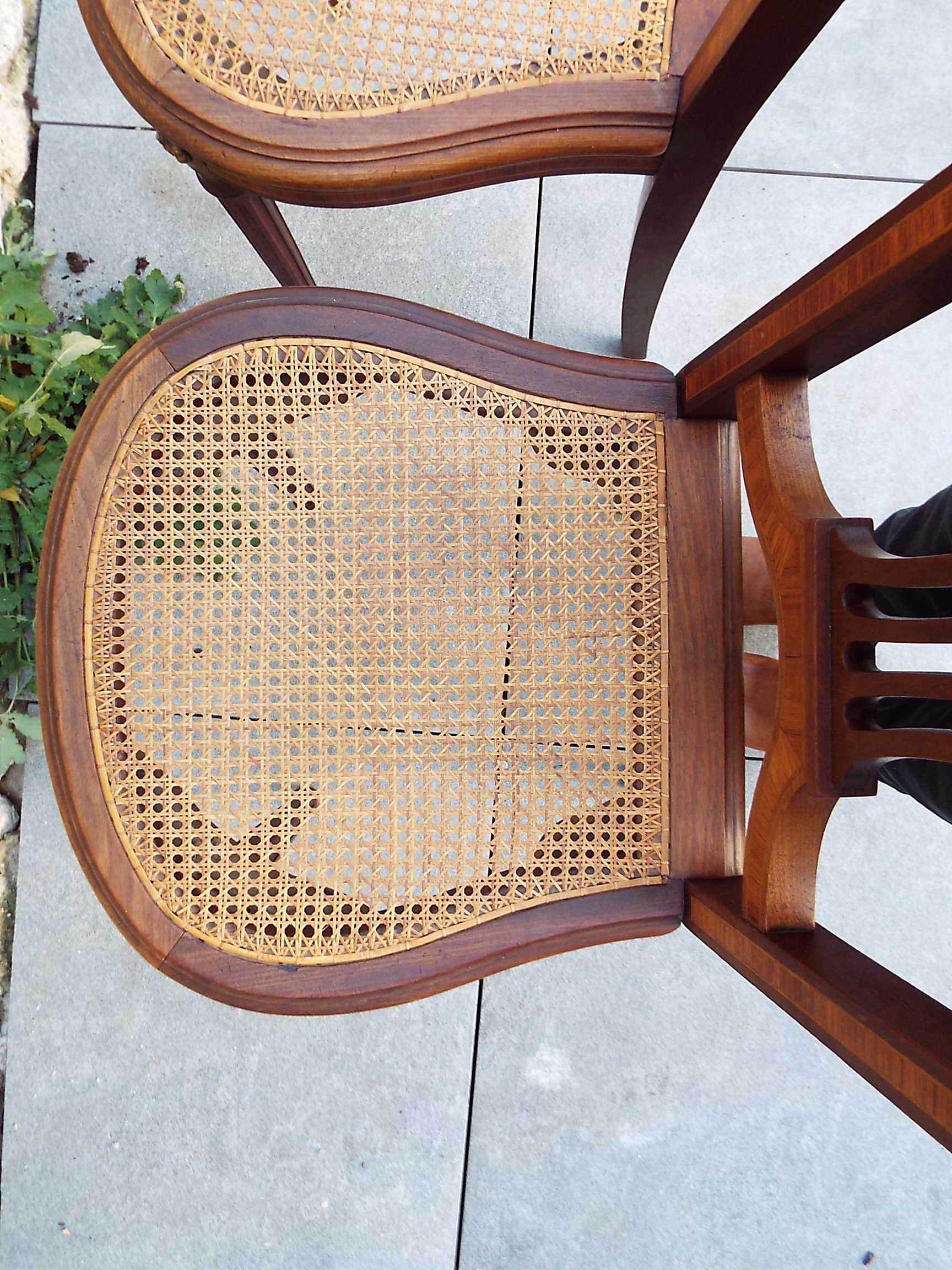 2 Louis XVI style chairs