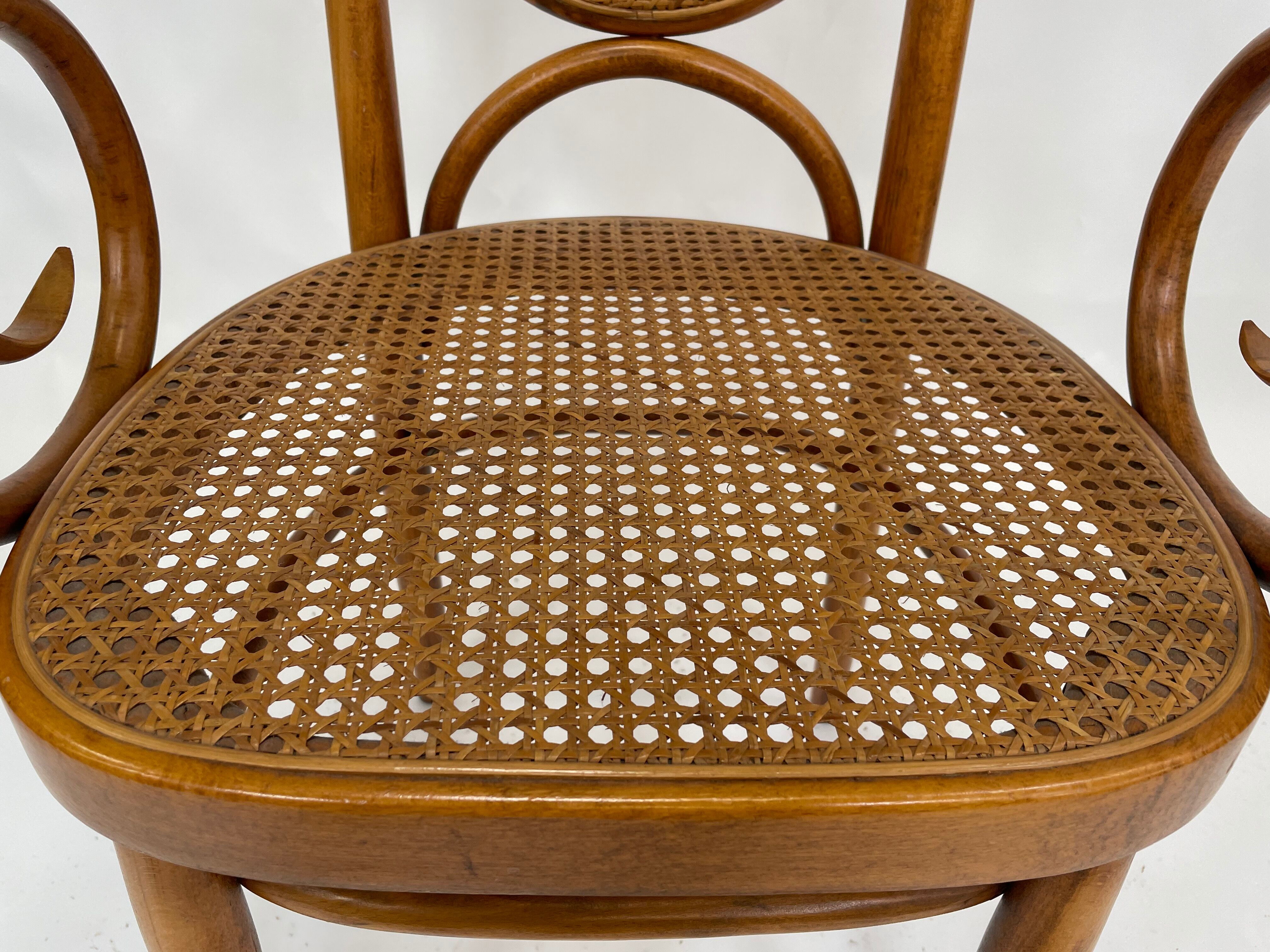 Sculptural bendwood side chair model