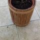 vintage rattan planter from the 50s