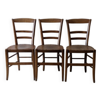 Chaises en bois