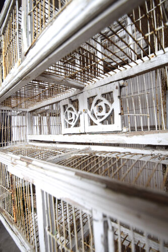 Cage à oiseau xixème