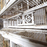 Great aviary bird cage nineteenth century