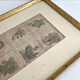 Lithograph botanical plate enhanced with watercolour.